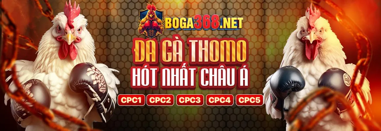 Đá Gà Trực Tuyến Hấp Dẫn tại star88 nhà cái