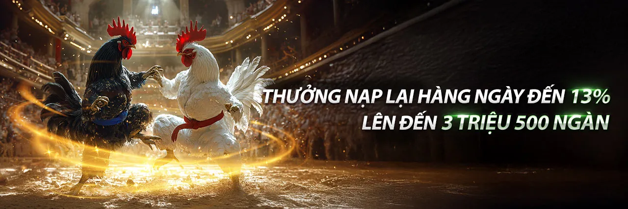 Sòng bạc Trực tuyến star88 nhà cái với Dealer Trực tiếp