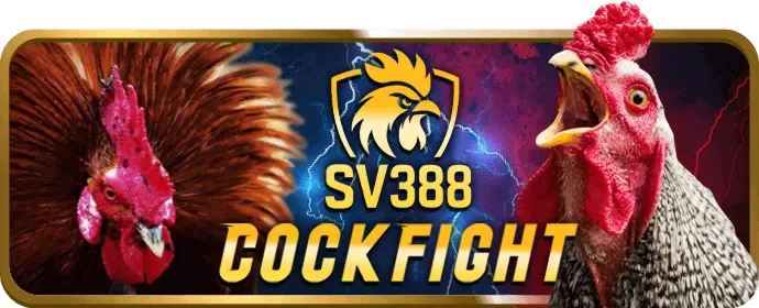 Ưu đãi độc quyền khi tham gia star88 nhà cái